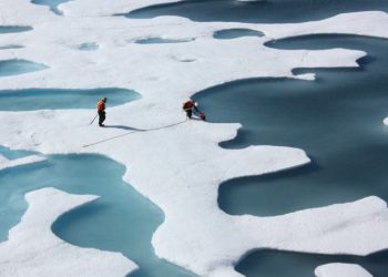 Podręcznik Frascati 2015