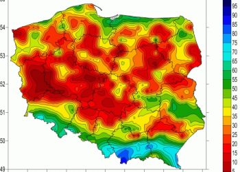 Susza w Polsce, kolejna plaga po koronawirusie?