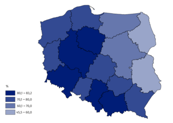 Praca cudzoziemców w Polsce – rynek zdominowany przez obywateli Ukrainy