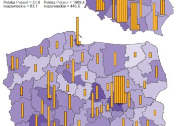 Polskie samorządy w statystyce
