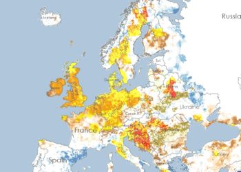 17. czerwca Światowy Dzień Walki  z Pustynnieniem i Suszą