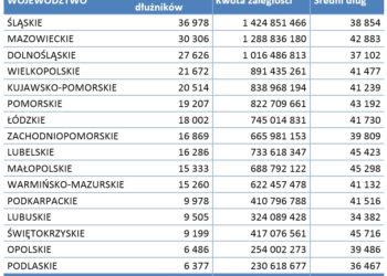 Alimentacyjne długi Polaków. Średnie zadłużenie na osobę to już ponad 40 tys zł!