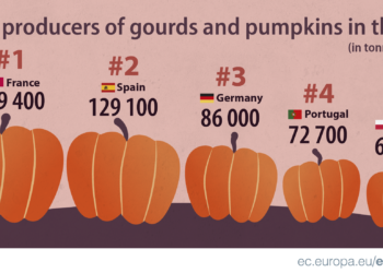 Polska czołowym producentem dyni w Europie