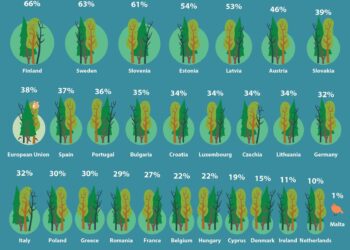 Lasy pokrywają 38 proc. obszaru Unii Europejskiej