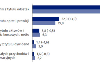 W 2020 roku banki zarobiły aż 6,2 mld zł mniej niż rok temu. Zobacz na czym zarabiają banki