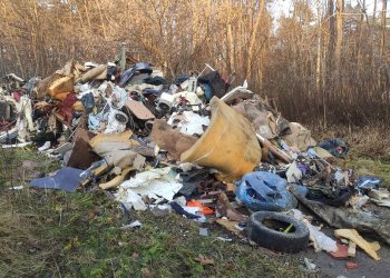 22 kwietnia obchodzimy Światowy Dzień Ziemi – w polskich lasach znajdziemy tysiące ton śmieci