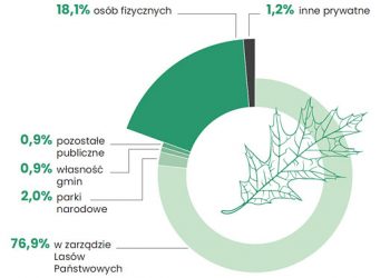 Czy rząd zamierza sprywatyzować lasy w Polsce? Poselski projekt PiS miał to umożliwić [AKTUALIZACJA]