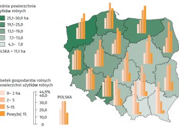 Dynamiczne zmiany w polskim rolnictwie. Od 2010 zlikwidowano prawie 200 tys. gospodarstw rolnych