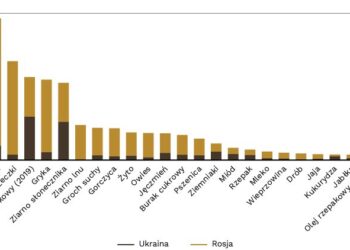Znaczenie Ukrainy i Rosji w światowych dostawach żywności