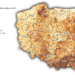 Kościół katolicki – ilu Polaków bierze udział niedzielnych w mszach?