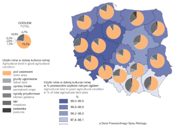 Polskie rolnictwo i wieś w liczbach [WYKRESY, MAPY]
