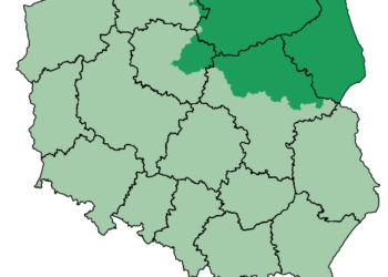 Zielone Płuca Polski. Co to za obszar i jakie ma znaczenie?