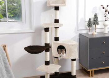 Nowoczesne drapaki dla kotów – optymalny komfort i zabawa