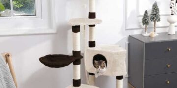 Nowoczesne drapaki dla kotów – optymalny komfort i zabawa