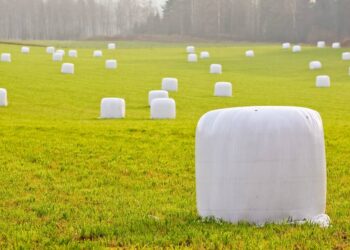 Jak przechowywać sianokiszonkę, aby nie pleśniała?