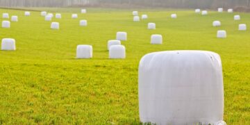 Jak przechowywać sianokiszonkę, aby nie pleśniała?