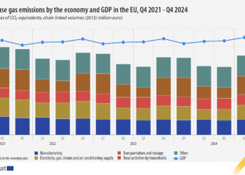 Kraje UE na drodze do zielonej transformacji: Nowy raport Eurostatu o energii odnawialnej